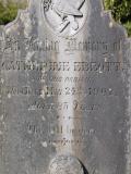 image of grave number 383194